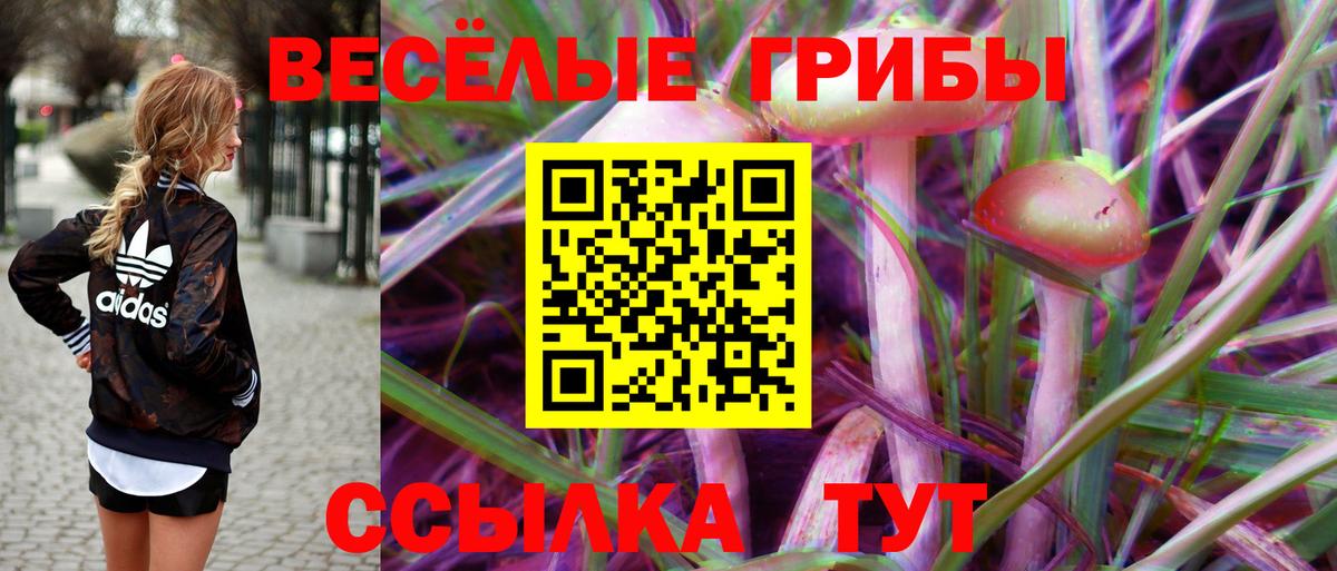 Среднеуральск  Галлюциногенные грибы ЛСД  Галлюциногенные грибы прущие грибы  Вход с VPN 